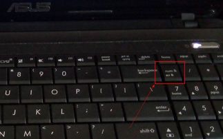 dell笔记本开机黑屏,电源指示灯亮,屏幕没反应,是什么故障