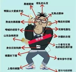 程序员为什么死的早