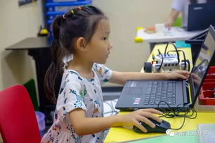 4岁小孩有必要学编程吗