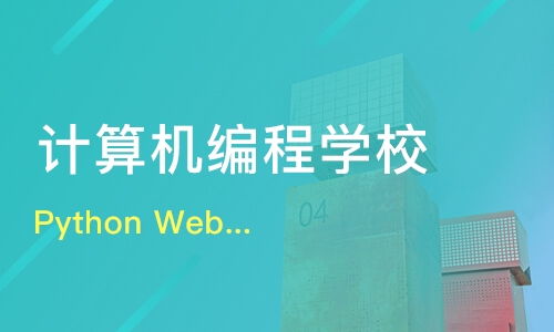计算机编程有哪些学校