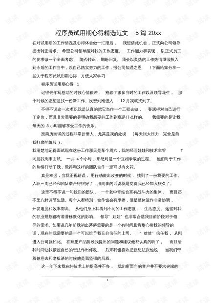 程序员试用期工作总结5篇