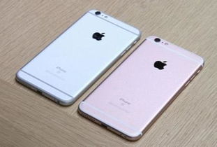 iphone买哪款好