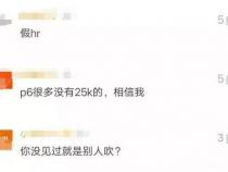 程序员工资很高吗资深HR透露真实收入,网友：说的很现实