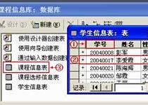 access数据库是系统软件还是应用软件