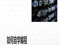 如何自学编程