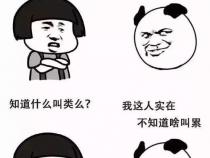 一级程序员是什么水平