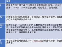 udb数据库是什么意思