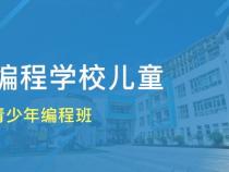 济南学编程的有几个学校