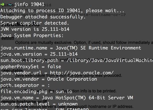 java -jar 命令行参数 无法覆盖 nacos配置中心配置的参数 问题