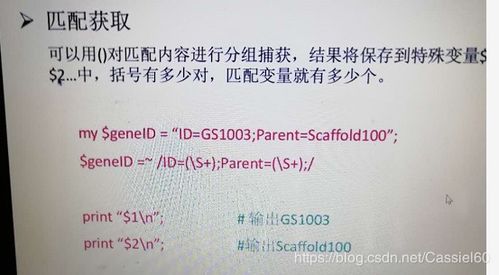 perl正则表达式 捕获