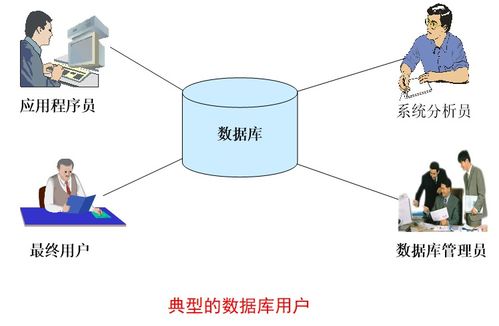 什么是数据库应用系统