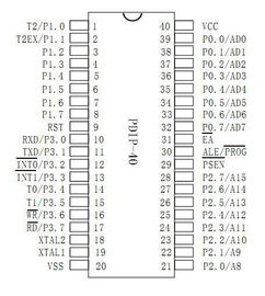 stc89c52单片机程序怎么读出来