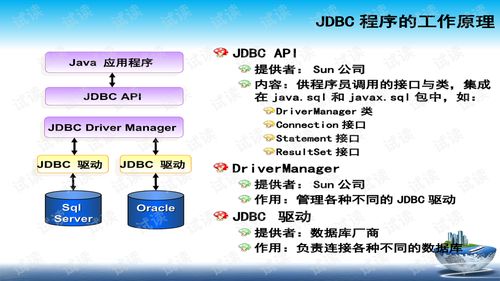 请问用jdbc连接数据库时url是个什么意思,请详解