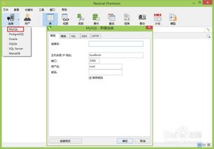 如何使用Navicat Premium管理数据
