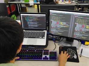 程序员的世界是什么样子