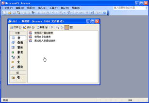 access2003绿色版是什么