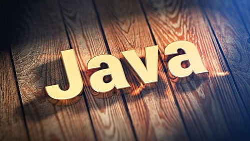 Java中的占位符