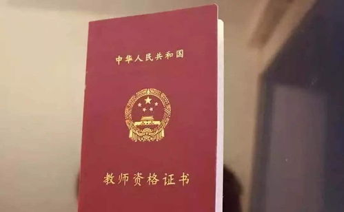少儿编程老师需要具备哪些技能或资格