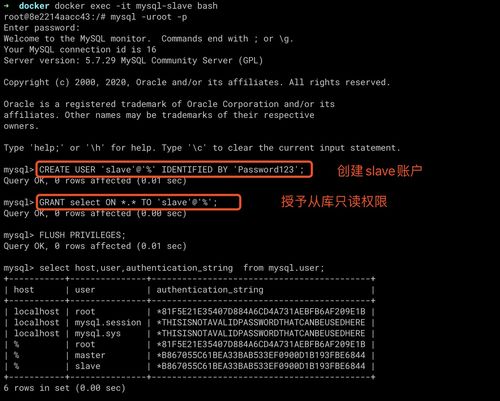 如何进入启动的mysql docker容器