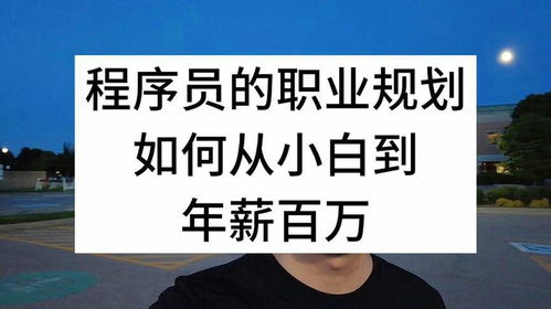 程序员的职业生涯规划