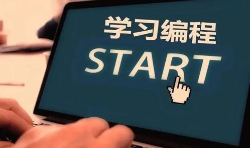 怎样更快的学会编程