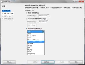 office怎么打开access