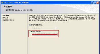 SQL数据库2008的产品密钥多少跪求