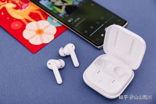 oppo蓝牙耳机有定位吗
