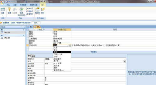 access数据库有多少种数据类型