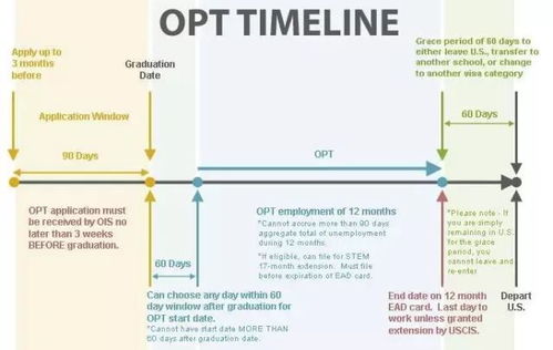 opt阶段是什么意思