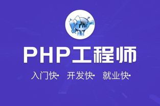 PHP 脚本主要用于哪些领域