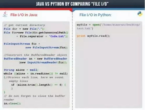 java怎么读入文件,并逐行输出