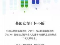 23魔方基因检测的结果怎么得到的