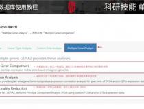 肿瘤研究常用数据库：GEPIA2