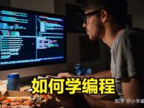 一个程序员需要学习那些课程