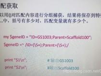 perl正则表达式 捕获