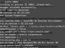 java -jar 命令行参数 无法覆盖 nacos配置中心配置的参数 问题