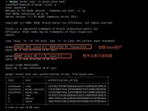 如何进入启动的mysql docker容器