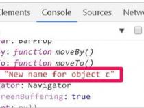 JavaScript：;是什么意思