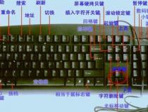 电脑基本功能有哪些