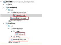 java实体类如何加入虚拟字段