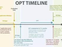 opt阶段是什么意思