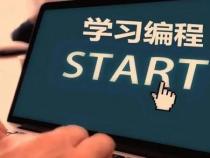 怎样更快的学会编程