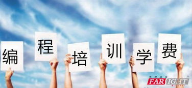 编程培训有哪些课程