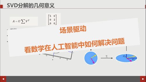 程序员 转型 做什么好