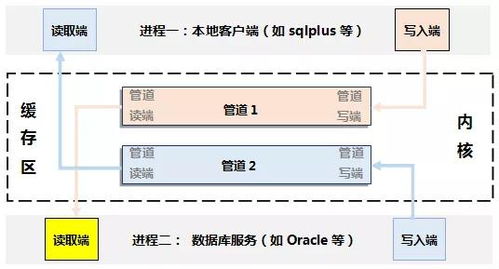数据库审计设备主要功能有哪些