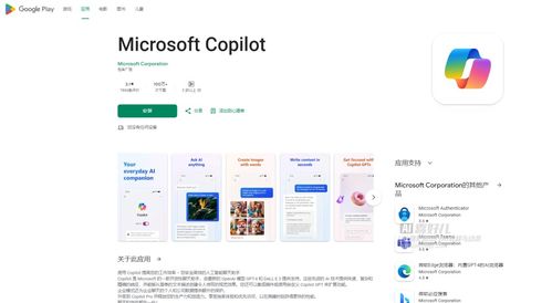 copilot是什么软件