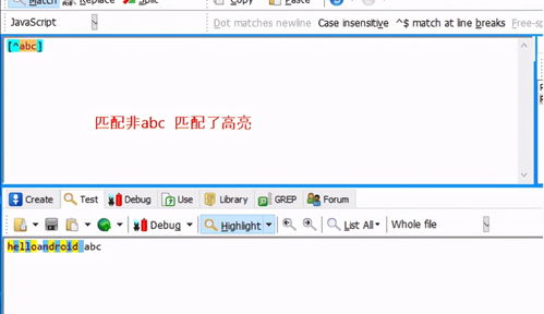 JavaScript正则表达式中 ： 是什么意思