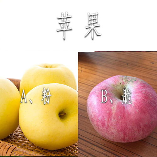 怎样辨别粉苹果和脆苹果