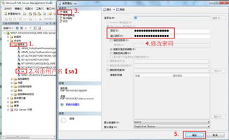 sql数据库无法连接的问题(数据库不能连接的原因)
